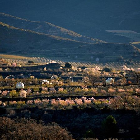 Отель Mirador De Pideago - Gratal Y Nabiella Болеа Экстерьер фото
